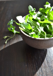 2014-02-12 001 2014-02-12 028