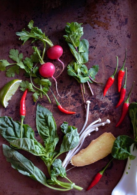 all ingredients 2 pho (2)