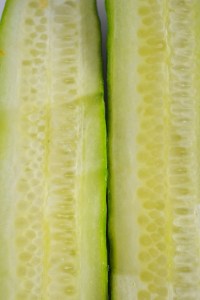 2014-03-04 001 2014-03-04 014