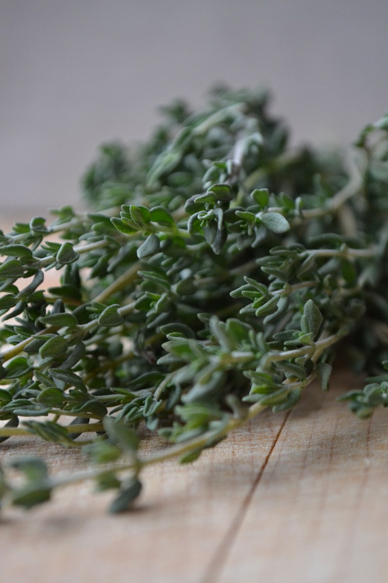 thyme