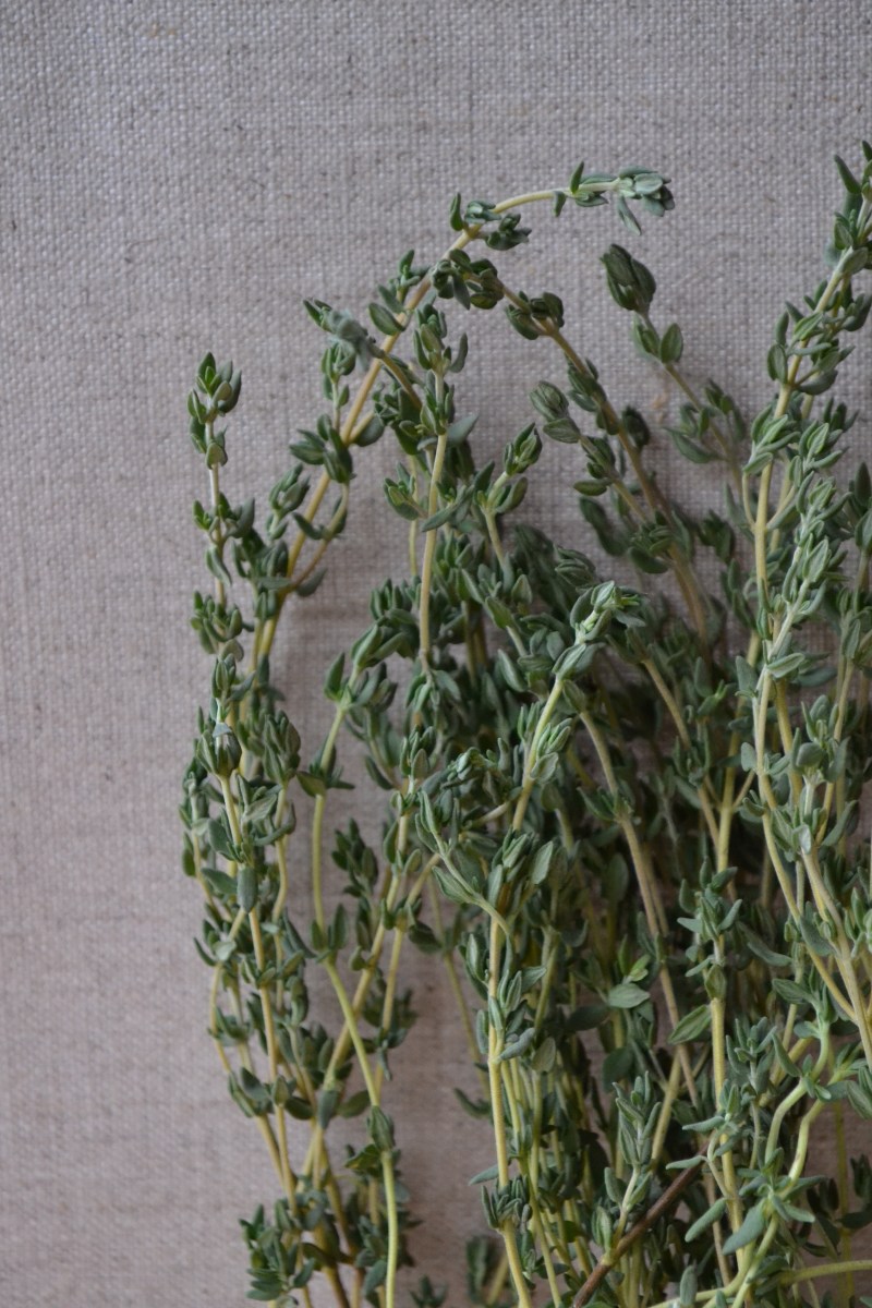 thyme