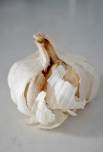 garlic