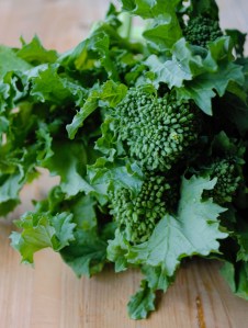 rapini 3