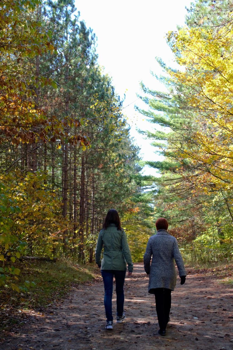 gluten free pumpkin pie