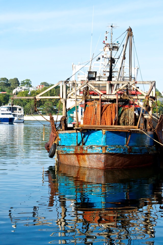 sydney seafood market