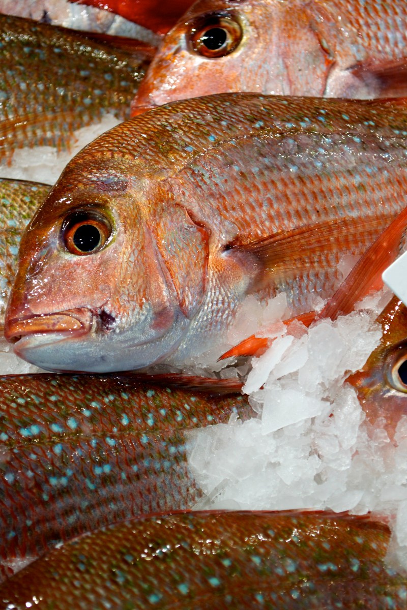 sydney seafood market