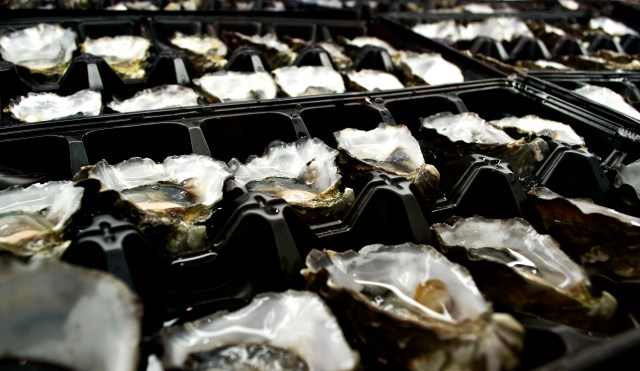 Sydney's Famous Rock Oysters