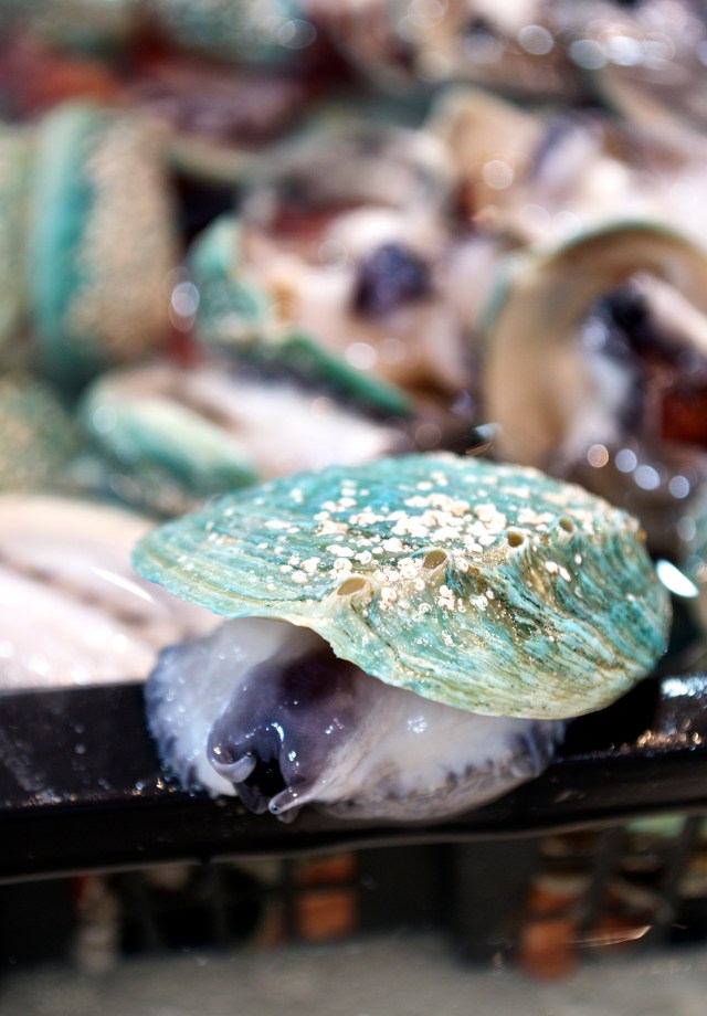 sydney seafood market