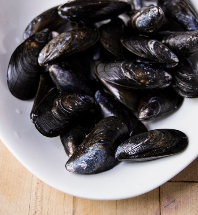 mussels